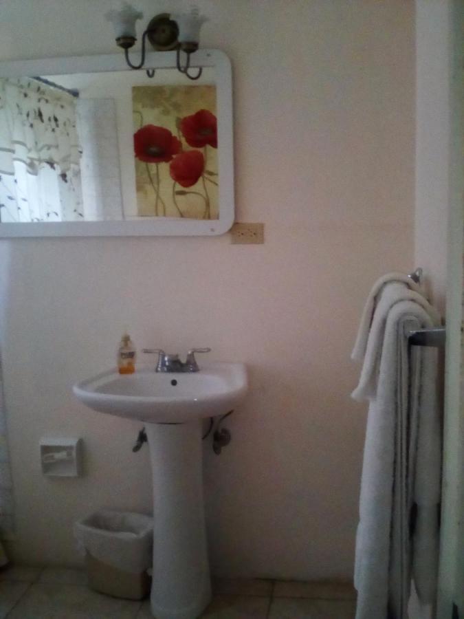 Castlevue B&B Teluk Montego Bagian luar foto