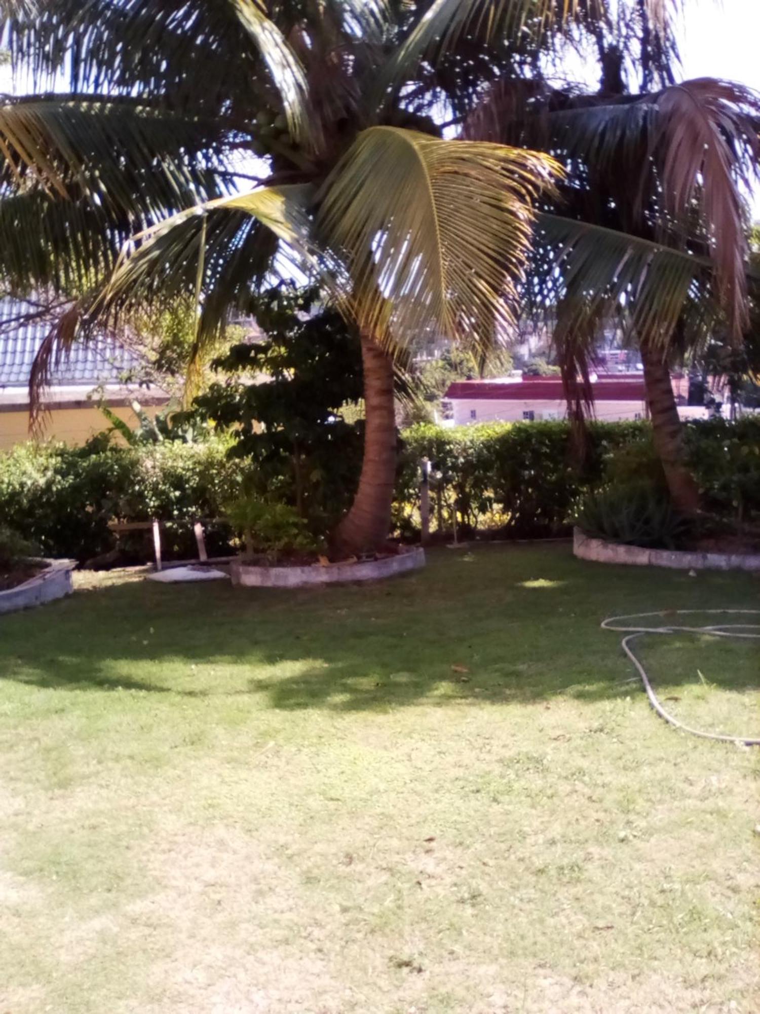 Castlevue B&B Teluk Montego Bagian luar foto